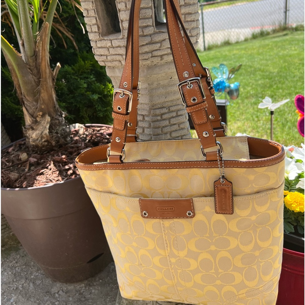Woman’s Handbag